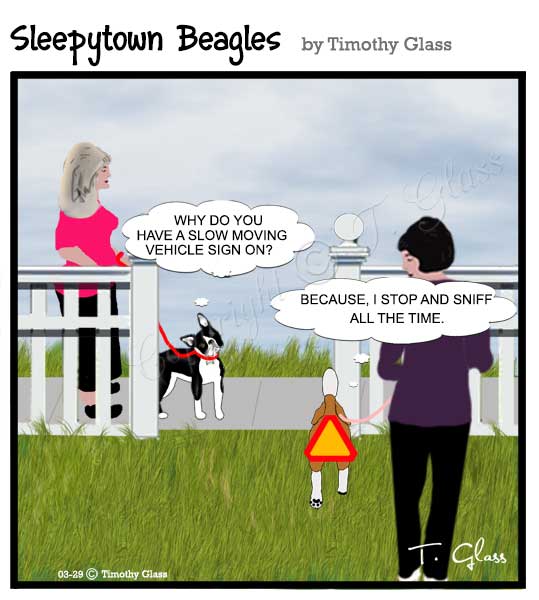 Sleepytown beagles Cartoon